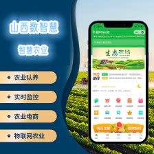 物联网与人工智能